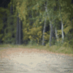 1788457279158.gif