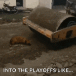 1000032086.gif