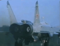 fox.gif