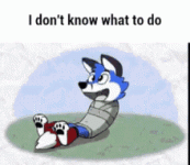 1790701574263.gif