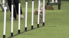 1791139682809.gif