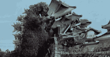 1791404998763.gif