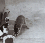 1792322777114.gif