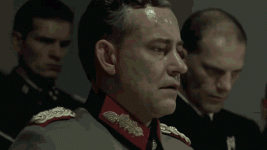 Fuhrer-Steiner.gif